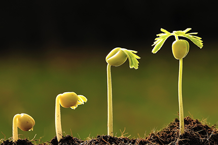 ���Ρ�(�й���)�����ٷ���վ-YY SPORTS