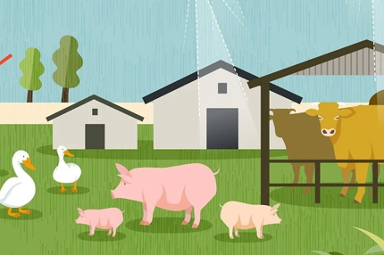 ���Ρ�(�й���)�����ٷ���վ-YY SPORTS