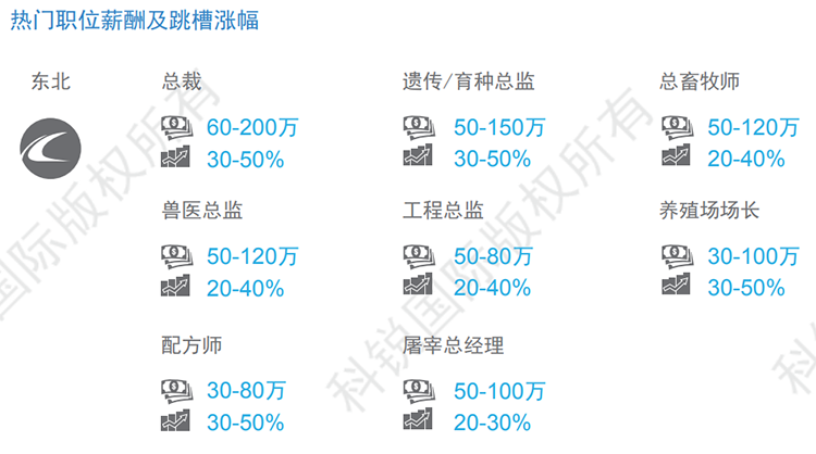 ���Ρ�(�й���)�����ٷ���վ-YY SPORTS