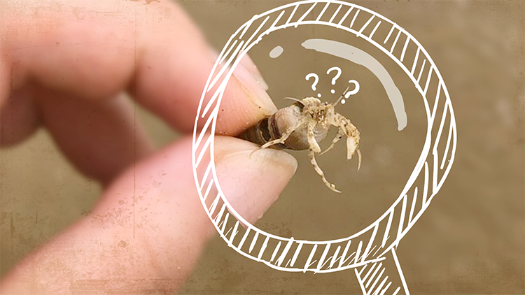 ���Ρ�(�й���)�����ٷ���վ-YY SPORTS