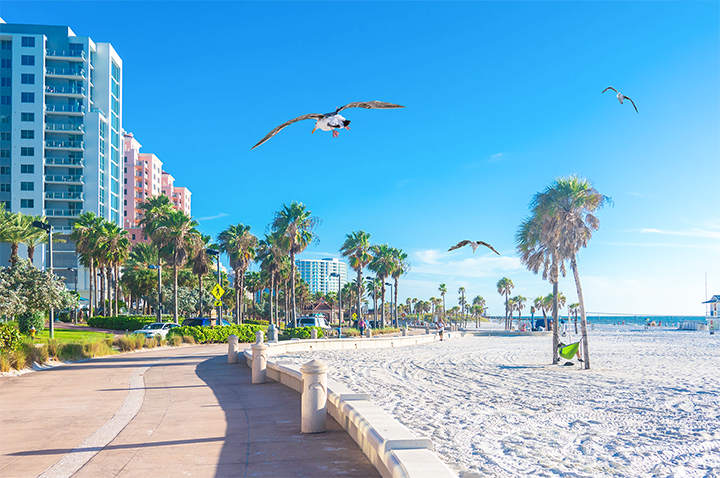 ���Ρ�(�й���)�����ٷ���վ-YY SPORTS