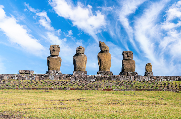 ���Ρ�(�й���)�����ٷ���վ-YY SPORTS