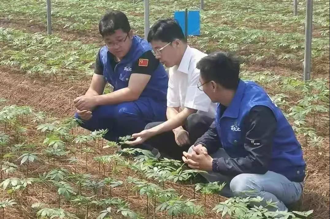 首页 - 菲律宾亚星国际官方网站